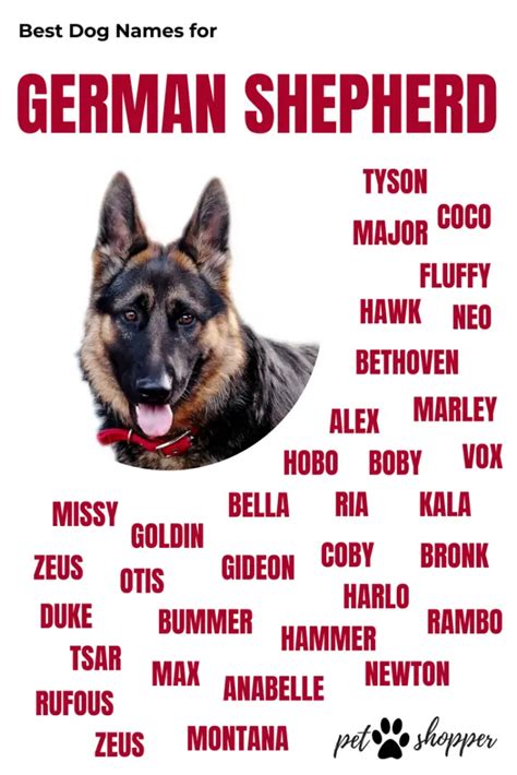 Good Dog Names for German Shepherds
