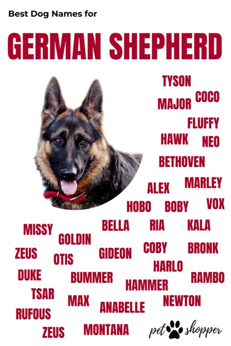 Good Dog Names German Shepherds