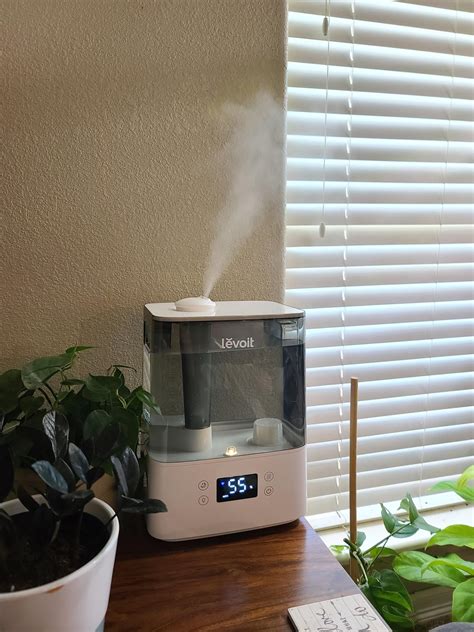 Good Humidifier For Bedroom Reddit