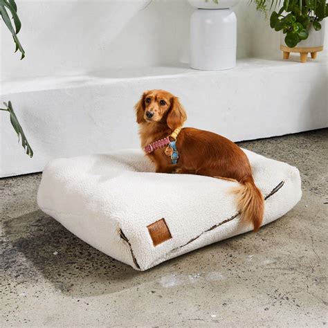 Good Looking Pet Beds