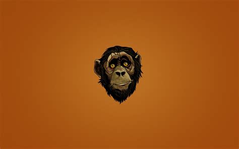 good monkeytype backgrounds