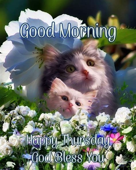 good morning cat images thursday