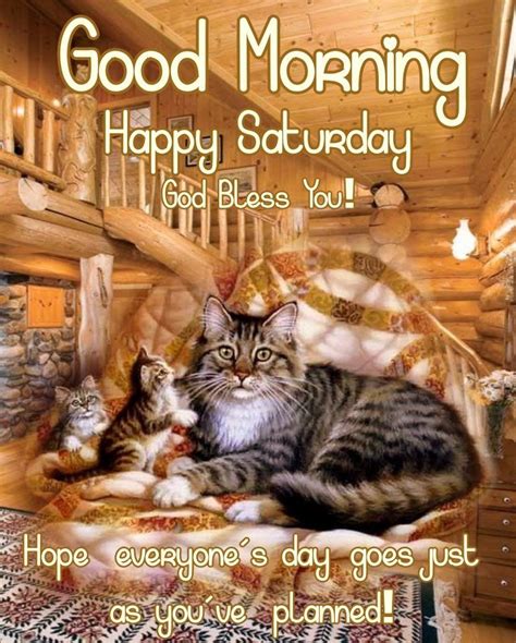 good morning images cat saturday