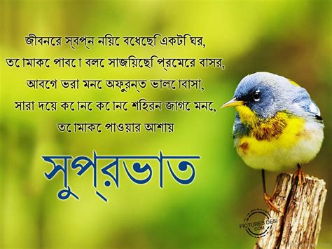 good morning love sms bangla