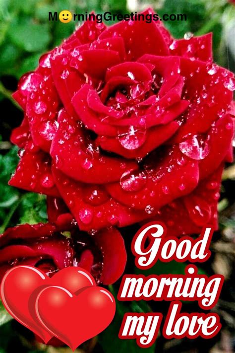 good morning my beautiful love images