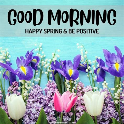 good morning springtime