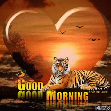 good morning tiger gif