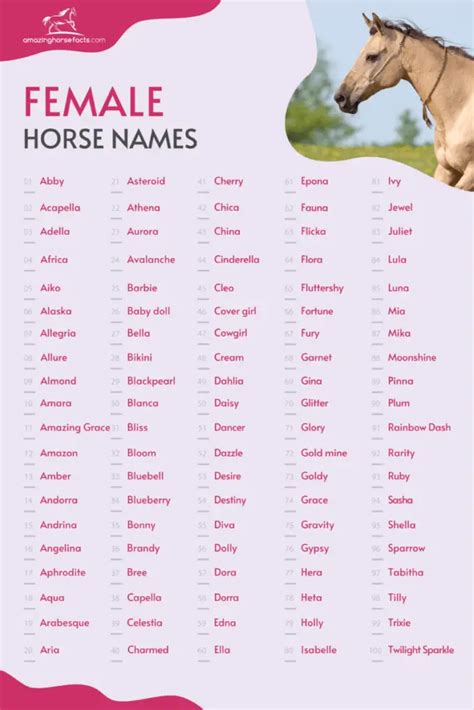 Good Names For A Mare