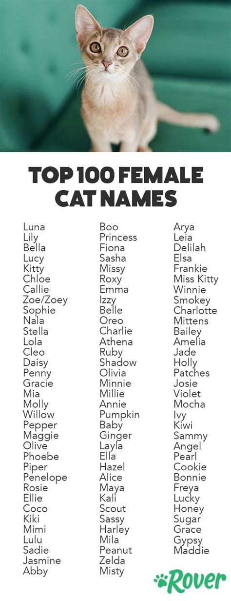 good names for female kittens