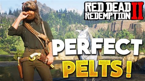 Good Pelts Rdr2