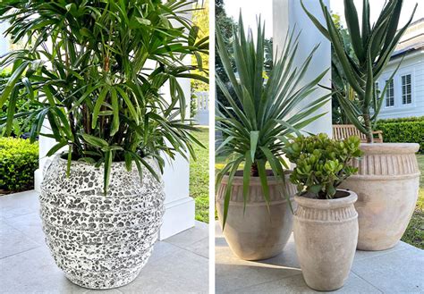 Good Pots For Plants