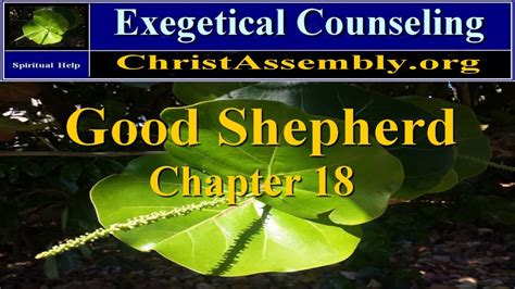 good shepherd counseling services