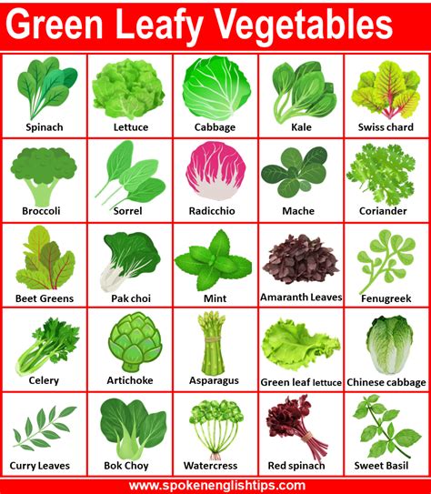 Good Source Of Leafy Vegetables
