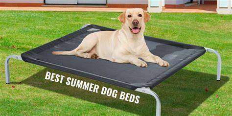 Good Summer Dog Beds