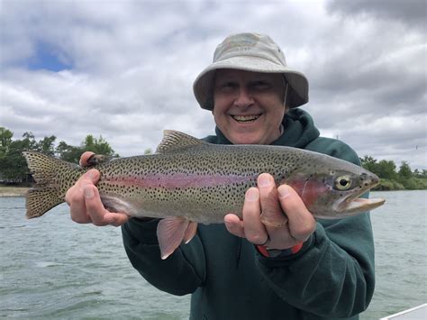 Good weather for fishing trout