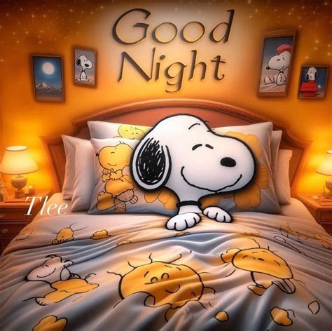 Goodnight Snoopy Pics