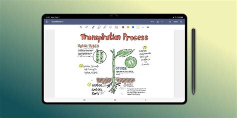 goodnotes for android vs ios