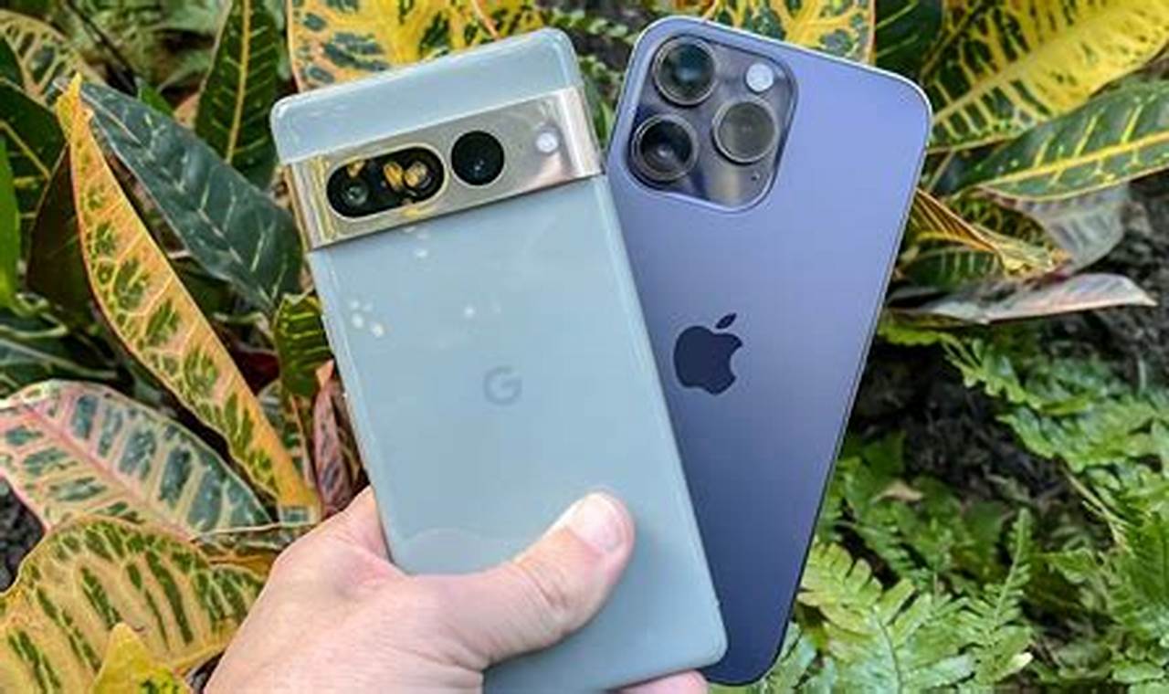 google pixel 7 vs iphone 11 pro max