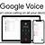 google voice and video ichat