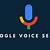 google voice motif