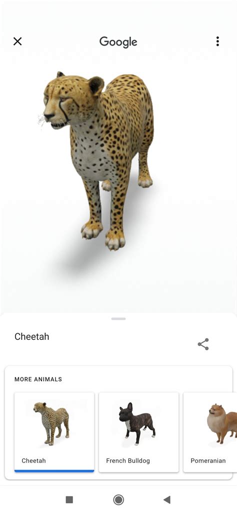 Google 3D Animals Iphone 11
