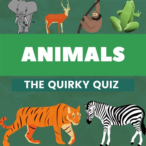 google animal quiz