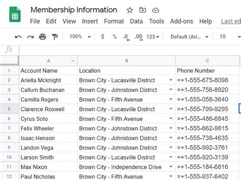google docs phone number format