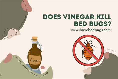 Google Does Vinegar Kill Bed Bugs
