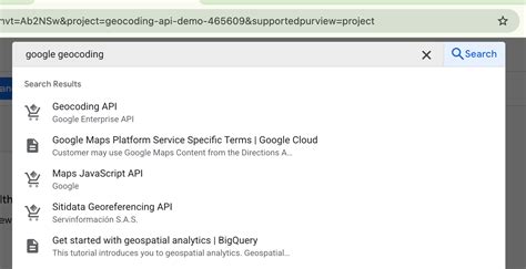 google geocoding api example