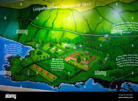 Google Maps Laupahoehoe Point