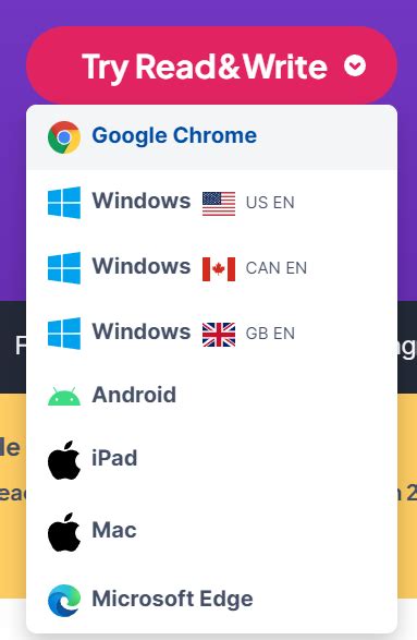 Google Read And Write App For Ipad
