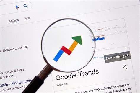 google search search trends