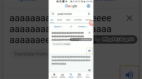 Google Translate Break