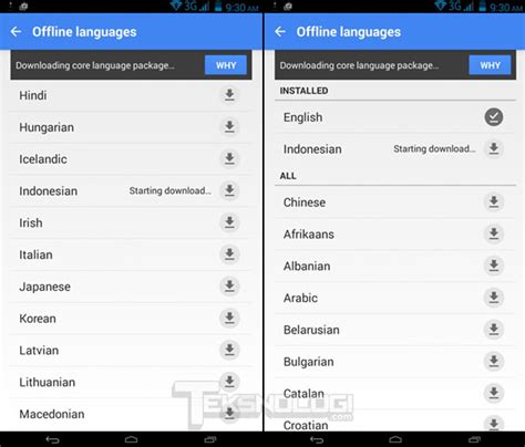 google translate english indonesian offline