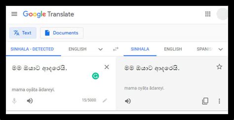 google translate english to sinhala offline