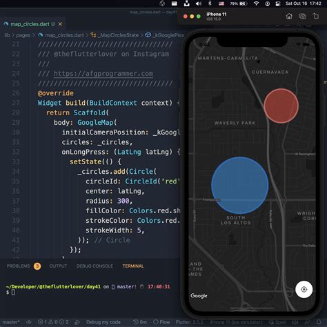 google_maps_flutter_web example