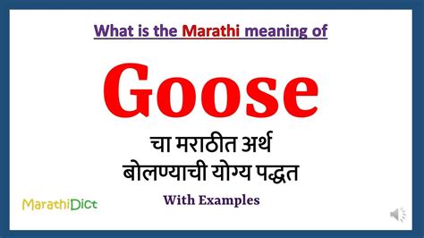 goose meaning in marathi with example