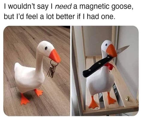 Goose Memes