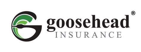 Goosehead Insurance Florida: Protecting Your Future