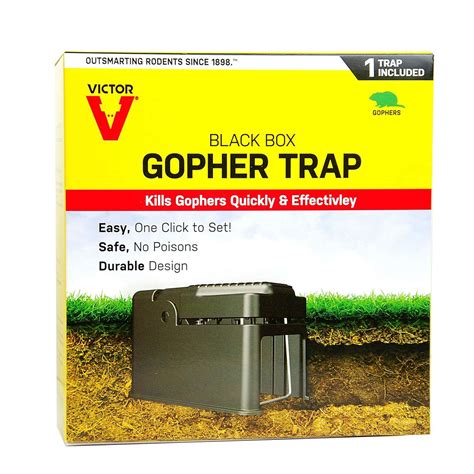 Gopher Trap Ace Hardware