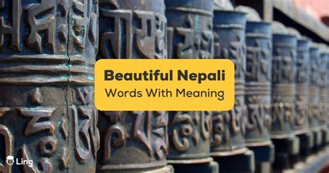 Nepalese Beautiful Girl, Nepali girls from Kirat community » Frame