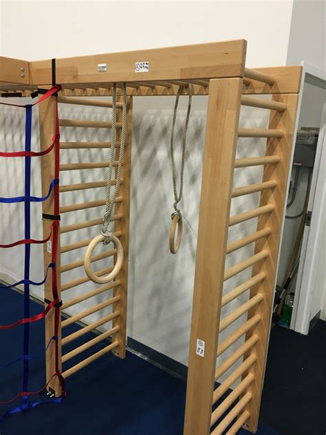 Gorilla Gym Monkey Bars