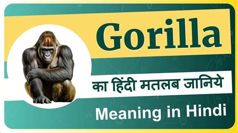 gorilla meaning in hindi