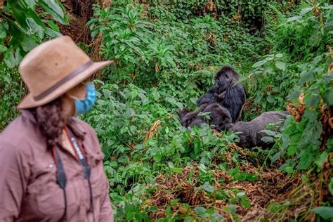 Preparing for Gorilla Trekking