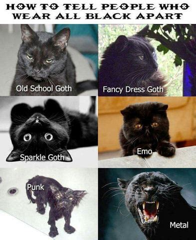 Goth Cat Meme