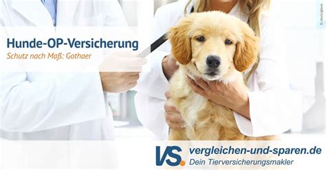 Gothaer Hundekrankenversicherung der Schutz für Ihren Hund! VS.
