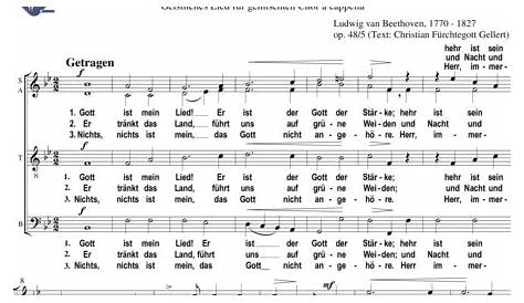 Sammelalbum Gott ist mein Lied - Meisterwerke für Chor und Orgel