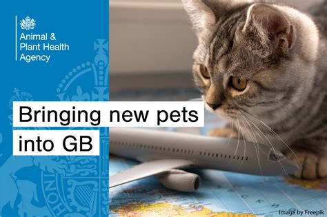 gov uk pets