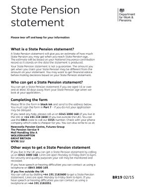 government pension statement online