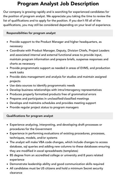 government program analyst job description